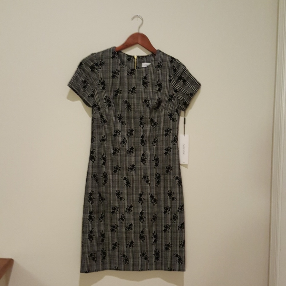 NEW Calvin Klein Dress